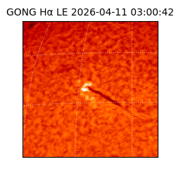 gong - 2026-04-11T03:00:42