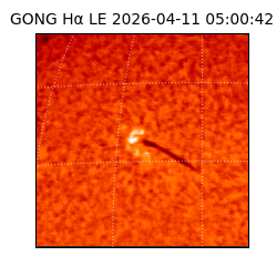 gong - 2026-04-11T05:00:42