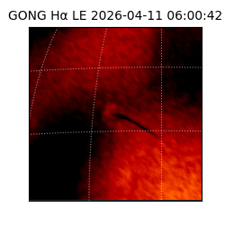 gong - 2026-04-11T06:00:42
