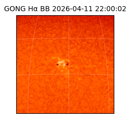 gong - 2026-04-11T22:00:02