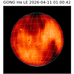 gong - 2026-04-11T01:00:42