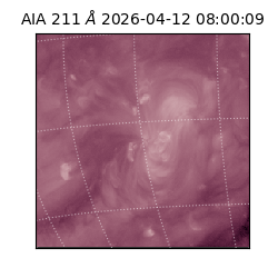 saia - 2026-04-12T08:00:09.622000