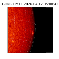 gong - 2026-04-12T05:00:42
