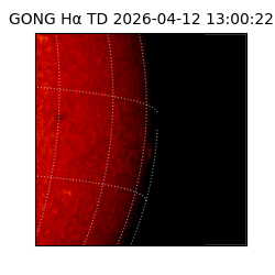gong - 2026-04-12T13:00:22