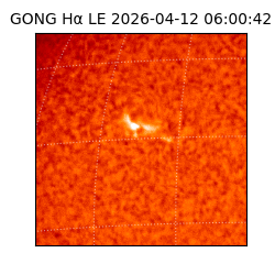 gong - 2026-04-12T06:00:42