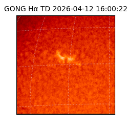 gong - 2026-04-12T16:00:22