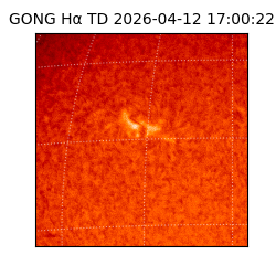 gong - 2026-04-12T17:00:22