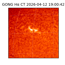 gong - 2026-04-12T19:00:42