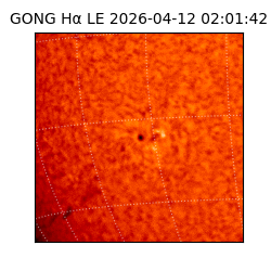 gong - 2026-04-12T02:01:42