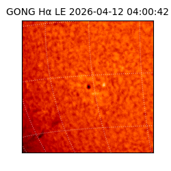 gong - 2026-04-12T04:00:42