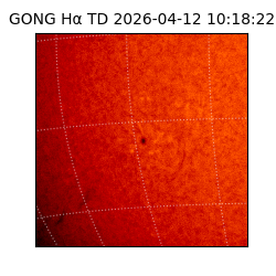 gong - 2026-04-12T10:18:22