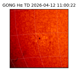 gong - 2026-04-12T11:00:22