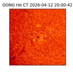 gong - 2026-04-12T20:00:42