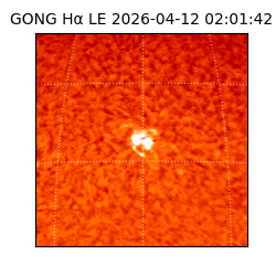 gong - 2026-04-12T02:01:42