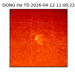 gong - 2026-04-12T11:00:22