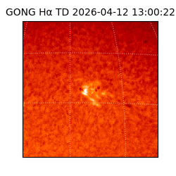 gong - 2026-04-12T13:00:22