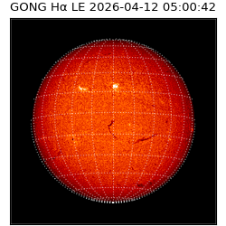gong - 2026-04-12T05:00:42