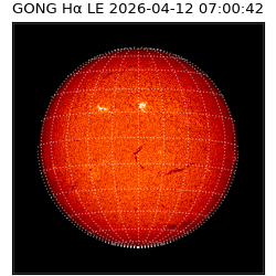 gong - 2026-04-12T07:00:42