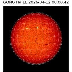 gong - 2026-04-12T08:00:42