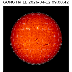 gong - 2026-04-12T09:00:42