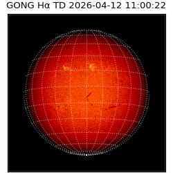 gong - 2026-04-12T11:00:22
