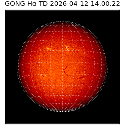 gong - 2026-04-12T14:00:22