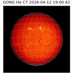 gong - 2026-04-12T19:00:42