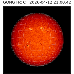 gong - 2026-04-12T21:00:42