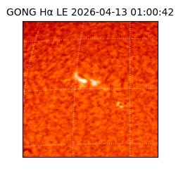 gong - 2026-04-13T01:00:42