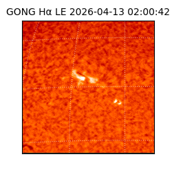 gong - 2026-04-13T02:00:42