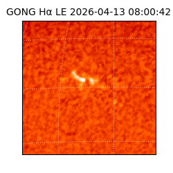 gong - 2026-04-13T08:00:42