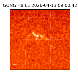 gong - 2026-04-13T09:00:42