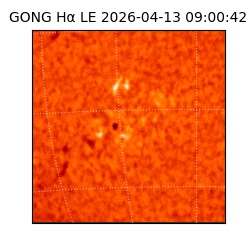 gong - 2026-04-13T09:00:42