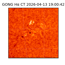 gong - 2026-04-13T19:00:42