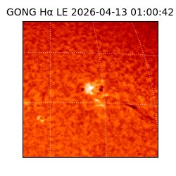 gong - 2026-04-13T01:00:42