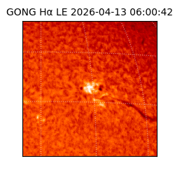 gong - 2026-04-13T06:00:42