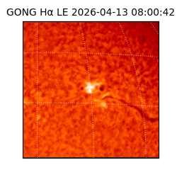 gong - 2026-04-13T08:00:42