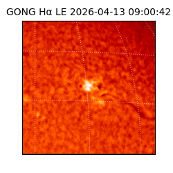 gong - 2026-04-13T09:00:42