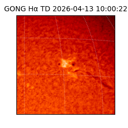 gong - 2026-04-13T10:00:22