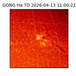 gong - 2026-04-13T11:00:22