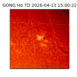 gong - 2026-04-13T15:00:22