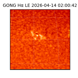 gong - 2026-04-14T02:00:42