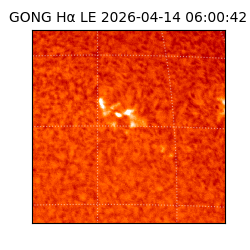 gong - 2026-04-14T06:00:42