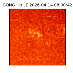 gong - 2026-04-14T08:00:42