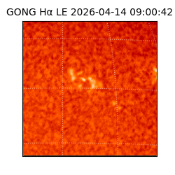 gong - 2026-04-14T09:00:42