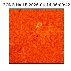 gong - 2026-04-14T06:00:42