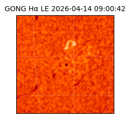 gong - 2026-04-14T09:00:42