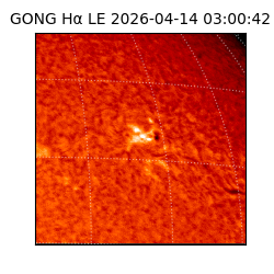 gong - 2026-04-14T03:00:42