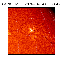 gong - 2026-04-14T06:00:42