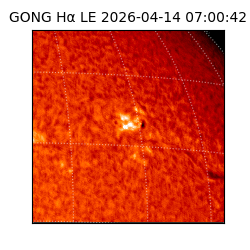 gong - 2026-04-14T07:00:42